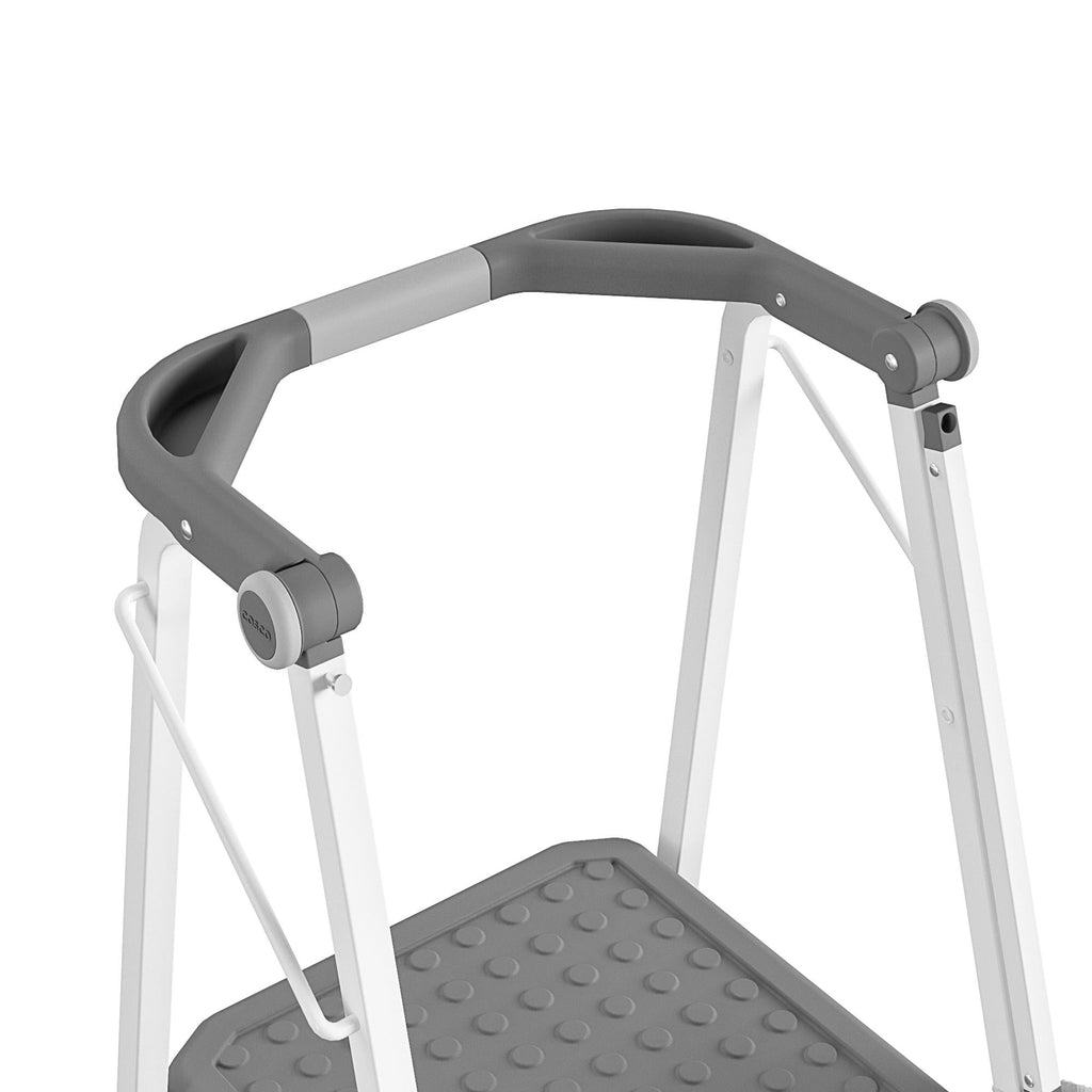 2-Step Kitchen Steel and Resin Step Stool