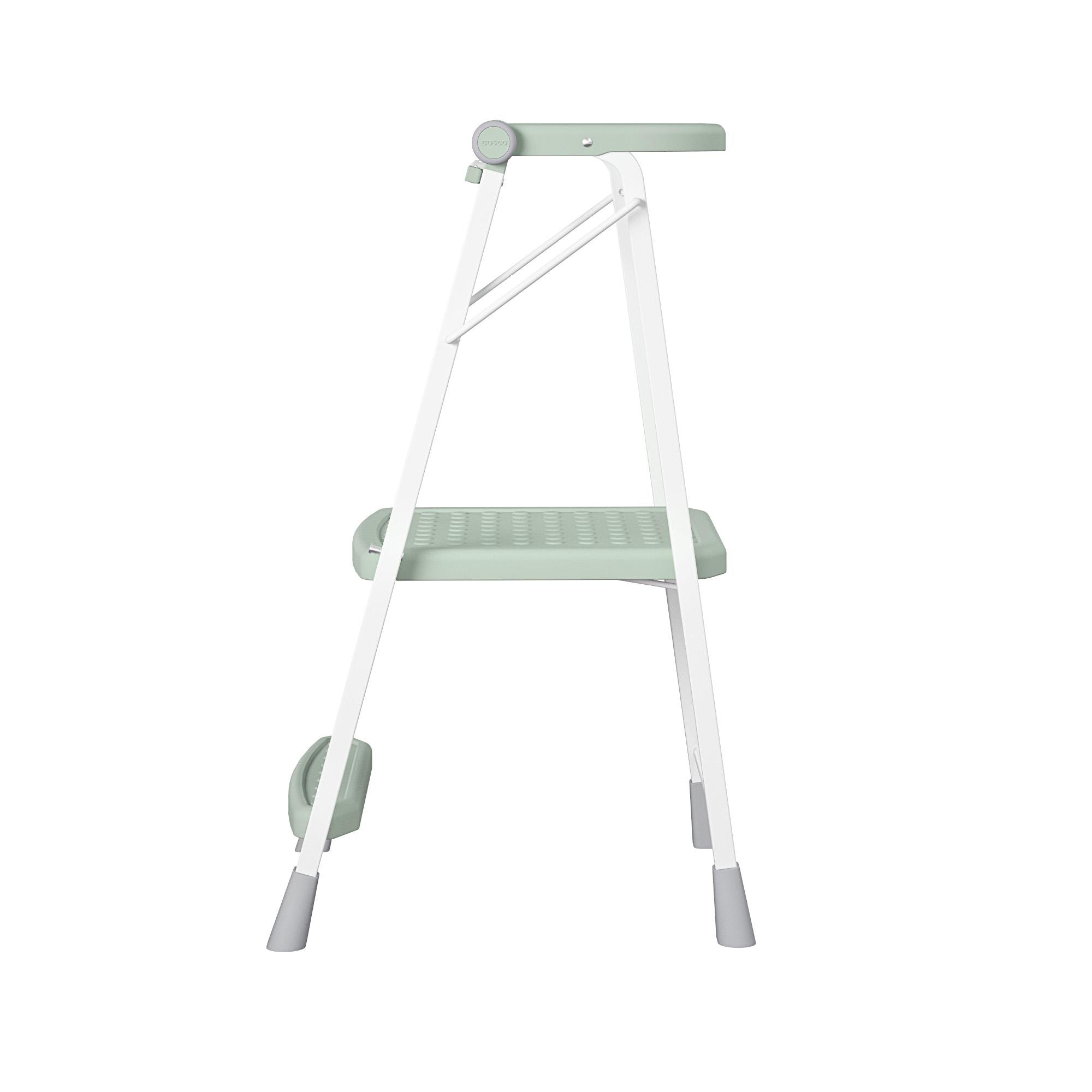2-Step Kitchen Steel and Resin Step Stool