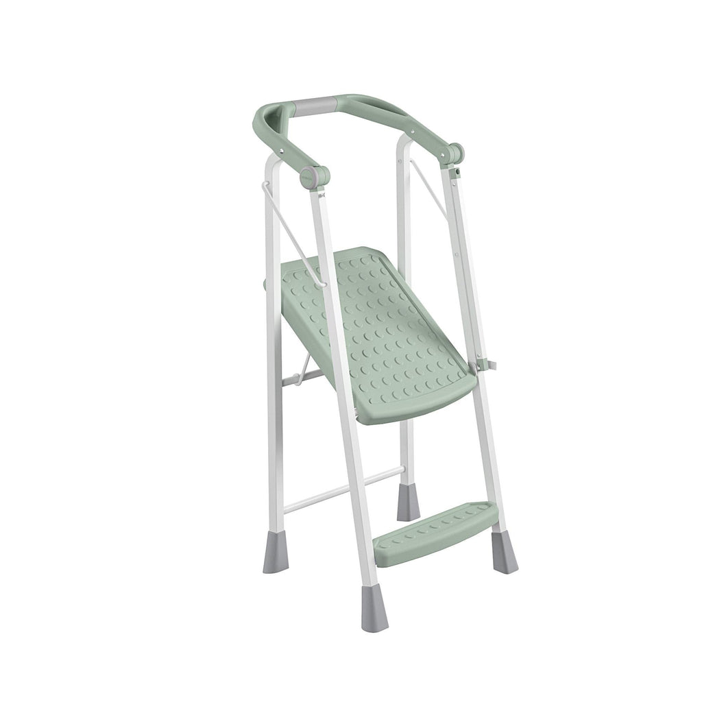 2-Step Kitchen Steel and Resin Step Stool