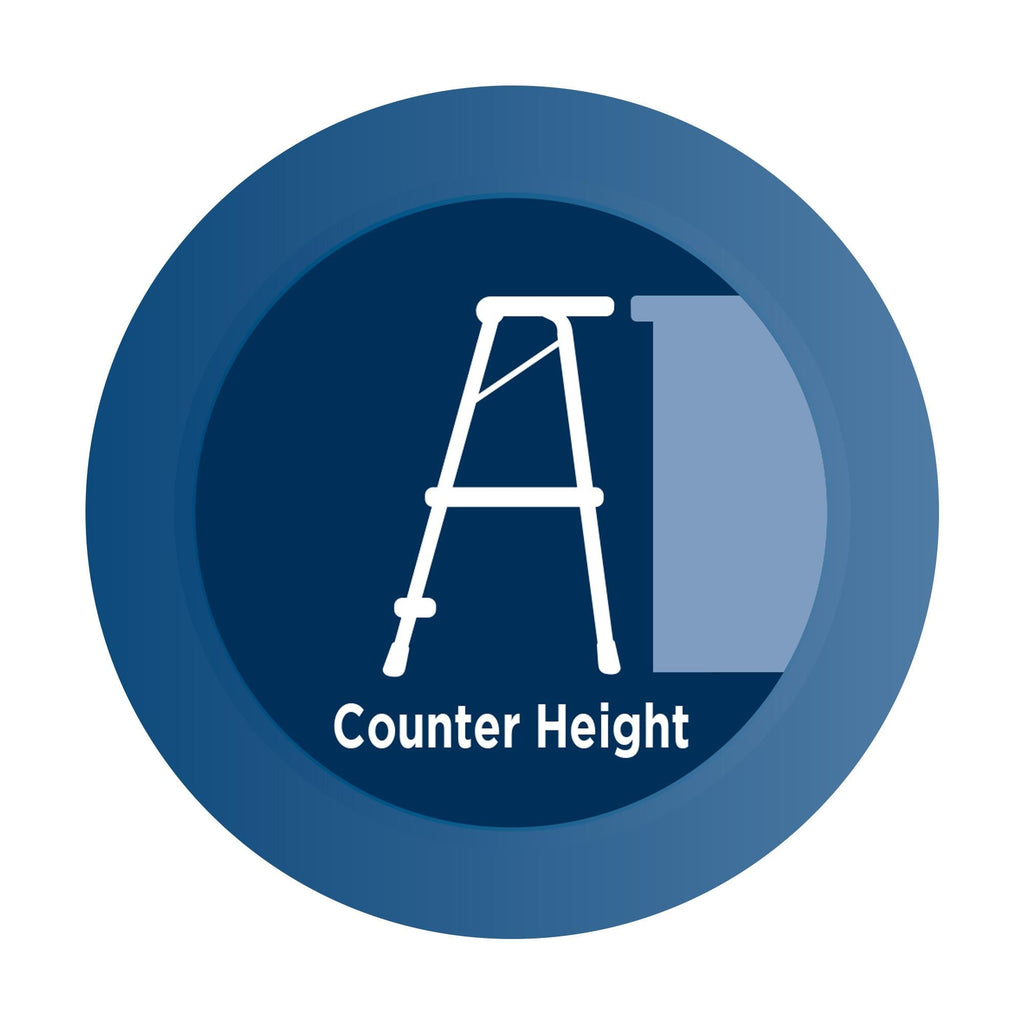 2-Step Kitchen Steel and Resin Step Stool